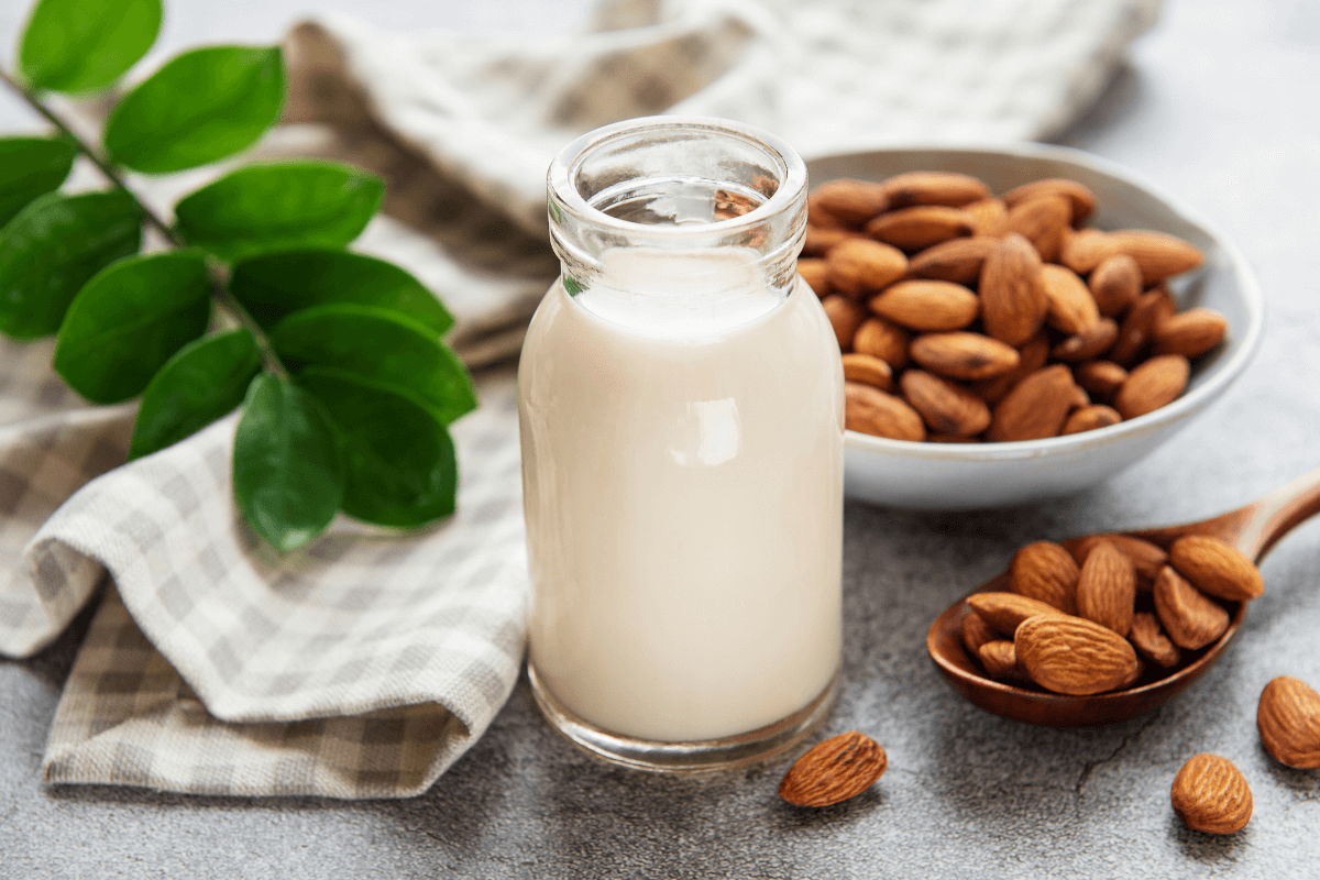 Steba Elektrogeräte | Veganer Nuss-Milch-Drink